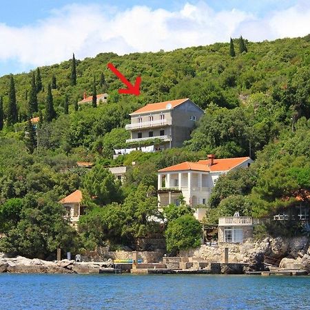 Apartments Antunovic Molunat Zewnętrze zdjęcie