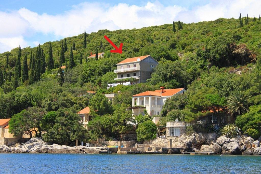 Apartments Antunovic Molunat Zewnętrze zdjęcie